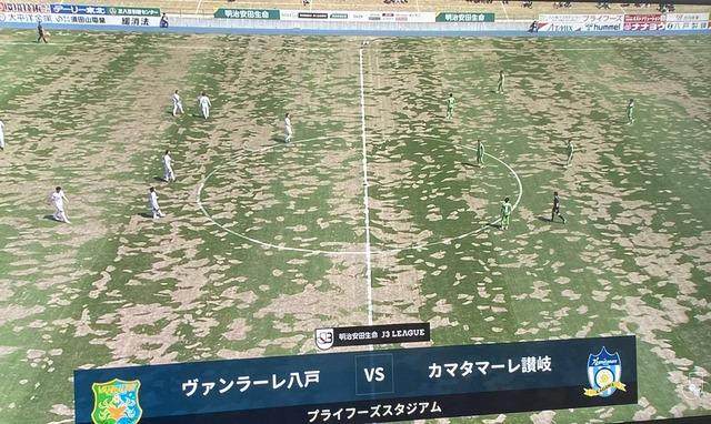 1650274274693013105.jpg 88.jpg